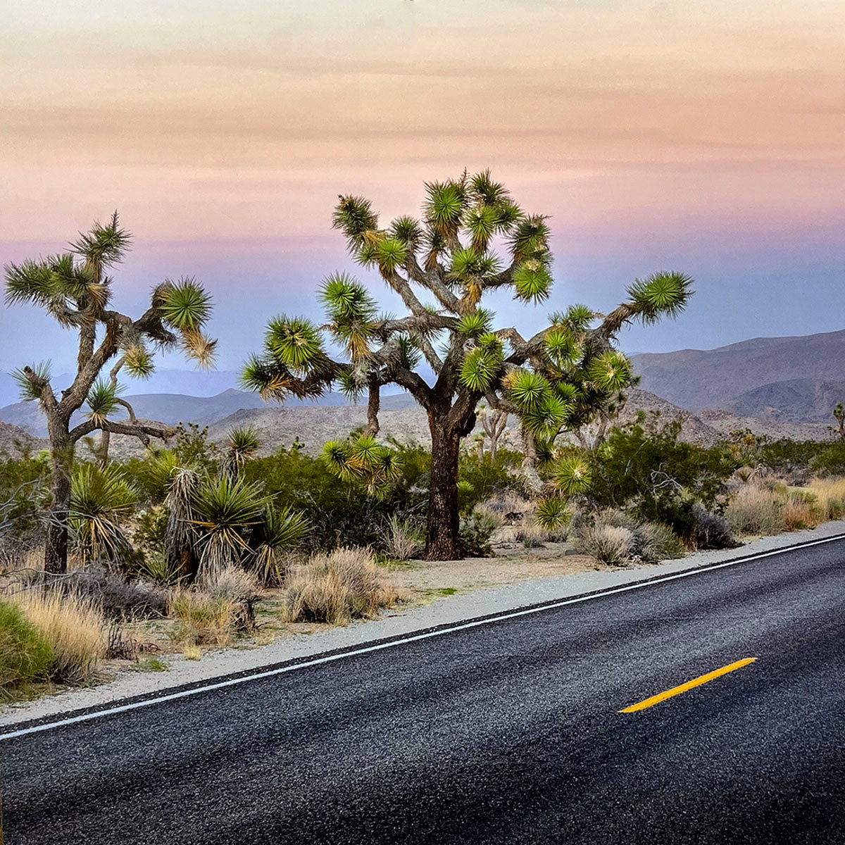 Desert highway cutting through a landscape dotted with iconic Joshua trees under a soft, gradient sunset sky of pink and blue, evoking a serene arid scene.
