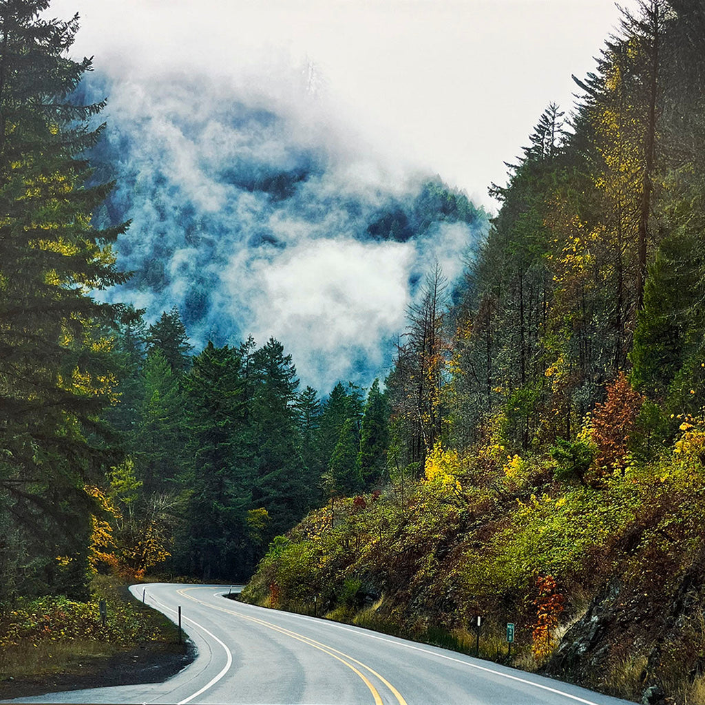 Curvy road ascending through a dense, colorful forest with vibrant autumn foliage and patches of fog clinging to distant trees, suggesting a mystical woodland journey.