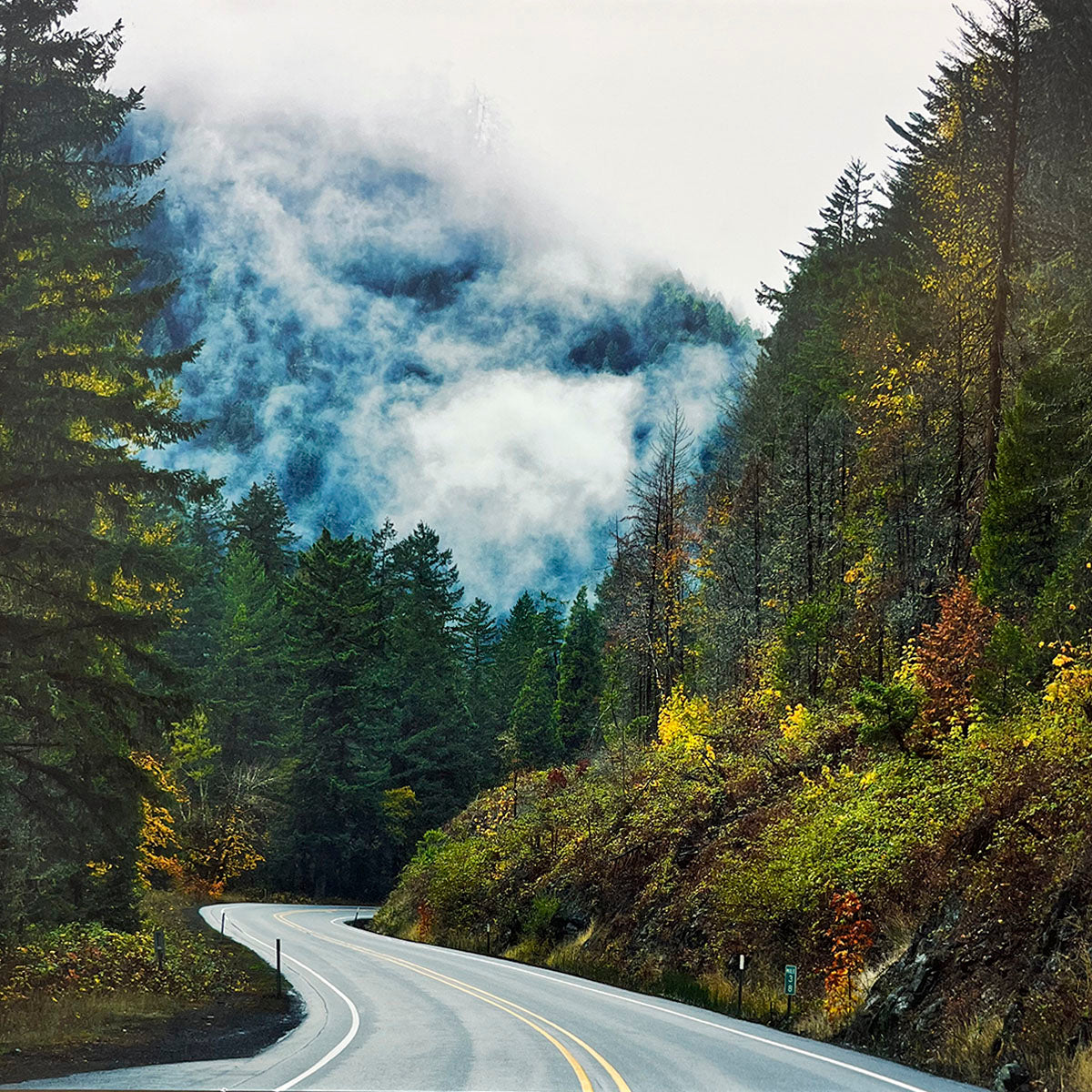 Curvy road ascending through a dense, colorful forest with vibrant autumn foliage and patches of fog clinging to distant trees, suggesting a mystical woodland journey.
