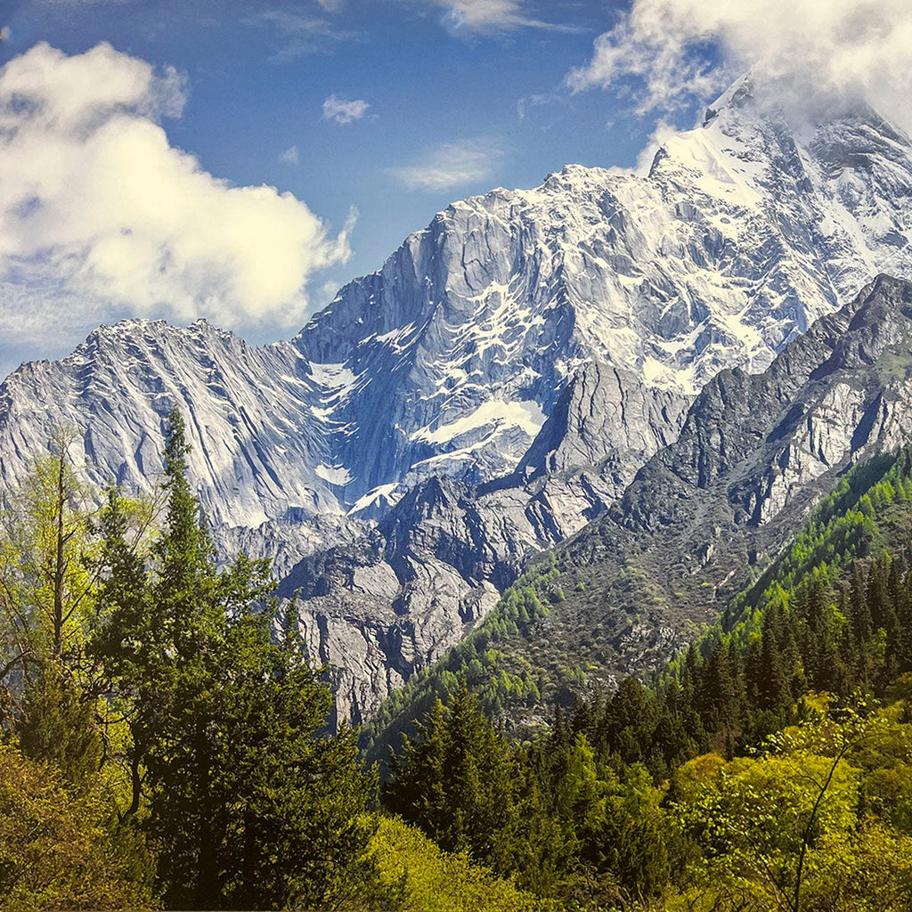 Majestic snow-capped mountain peak dominating a wall calendar image, with a dense green forest in the foreground under a bright blue sky with wispy clouds. SEO: snow mountain, green forest, clear sky, majestic peak, nature calendar.