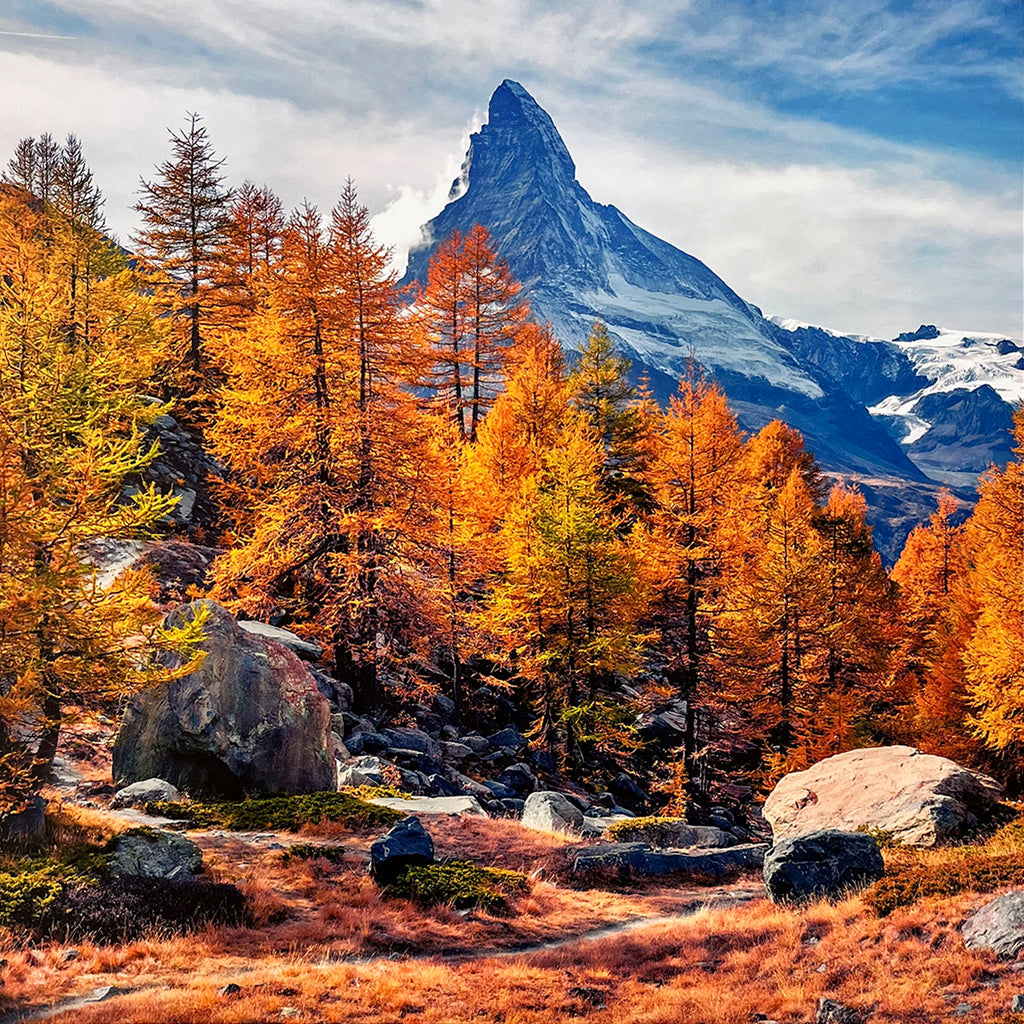 Iconic Matterhorn-like mountain peak for wall calendar, framed by vibrant orange and red autumn larch trees and large boulders under a partly cloudy sky. SEO: famous mountain, autumn larches, vibrant fall colors, rocky landscape, nature calendar.