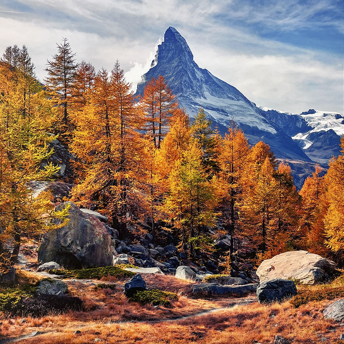 Iconic Matterhorn-like mountain peak for wall calendar, framed by vibrant orange and red autumn larch trees and large boulders under a partly cloudy sky. SEO: famous mountain, autumn larches, vibrant fall colors, rocky landscape, nature calendar.