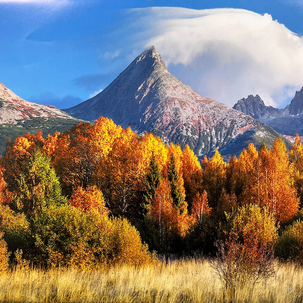 Striking mountain peak for wall calendar, with a distinctive cloud cap, overlooking a brilliant array of yellow and orange autumn trees in the foreground. SEO: mountain peak, cloud cap, autumn forest, vibrant fall colors, nature photography calendar.