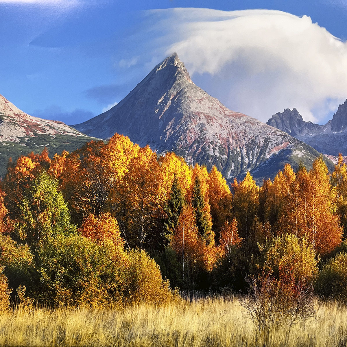 Striking mountain peak for wall calendar, with a distinctive cloud cap, overlooking a brilliant array of yellow and orange autumn trees in the foreground. SEO: mountain peak, cloud cap, autumn forest, vibrant fall colors, nature photography calendar.