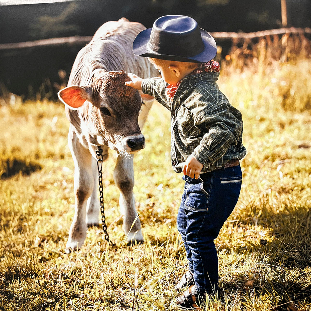 Heartwarming scene of a young child in a cowboy hat gently petting a calf in a sun-drenched, grassy field, symbolizing Western childhood.