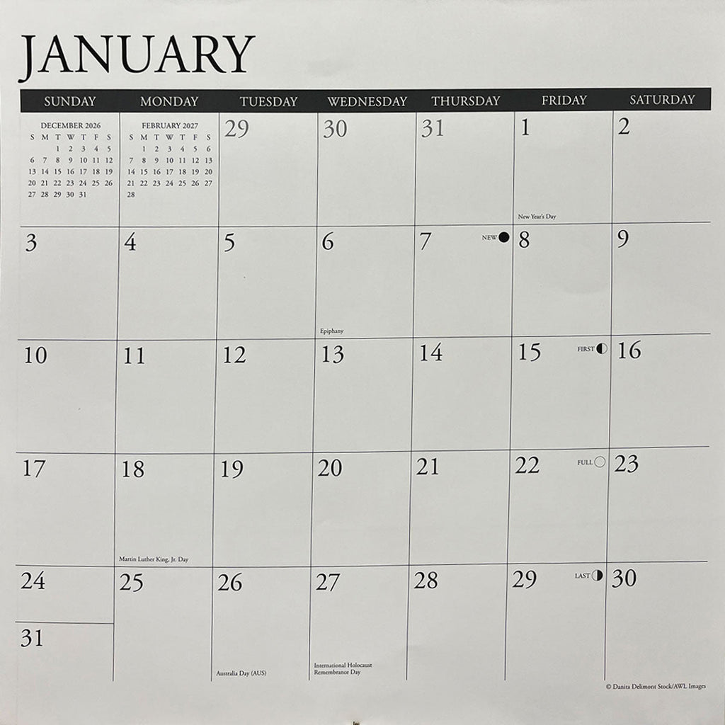 Close-up of a clear and organized January calendar page, showing large daily grids, small previous/next month views, and holiday indicators for easy planning.
