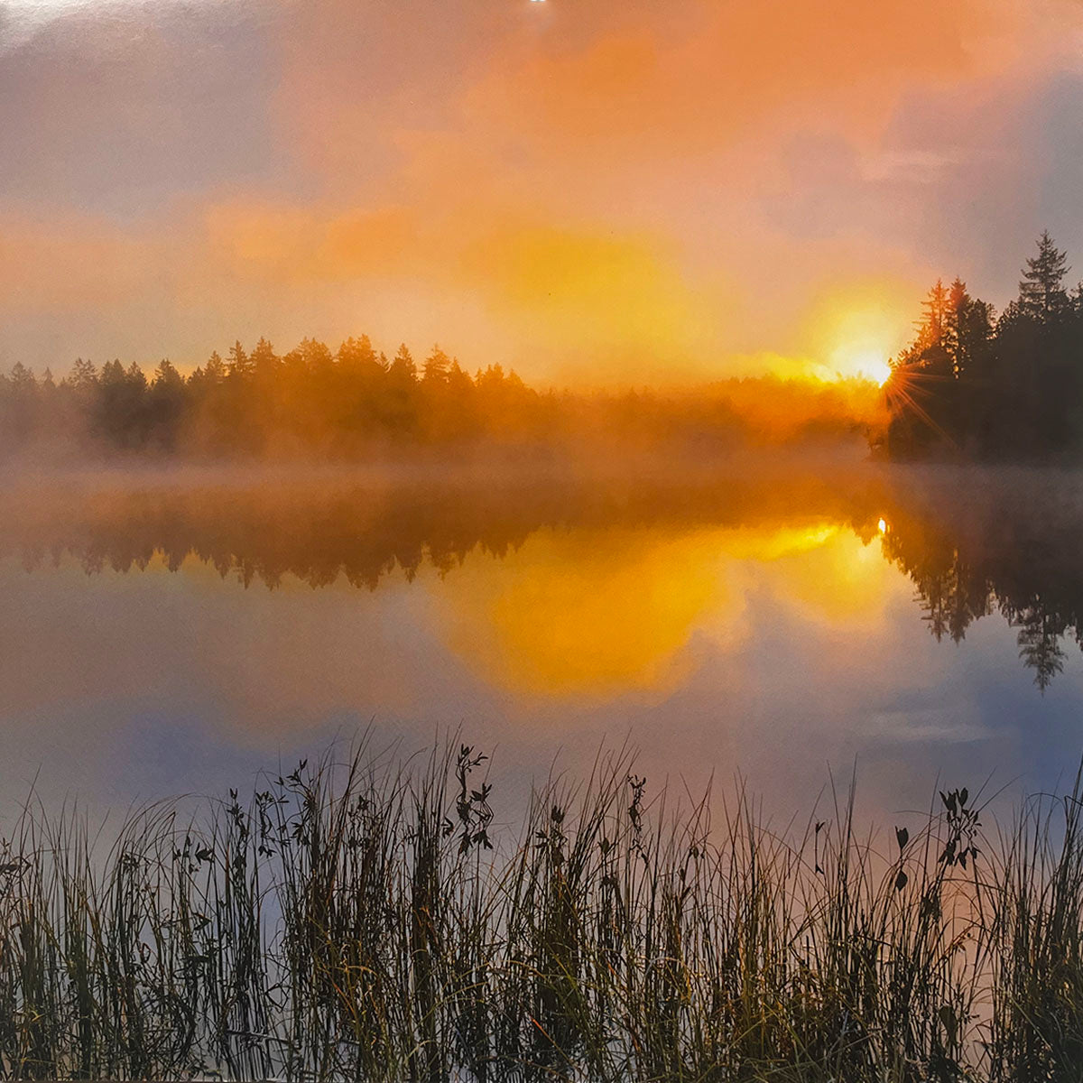 Tranquil misty sunrise over a calm lake, with a golden sun breaking through fog, silhouetted evergreen trees on the horizon, and reflections on the water. Ideal for an inspiring nature calendar, serene wall art.