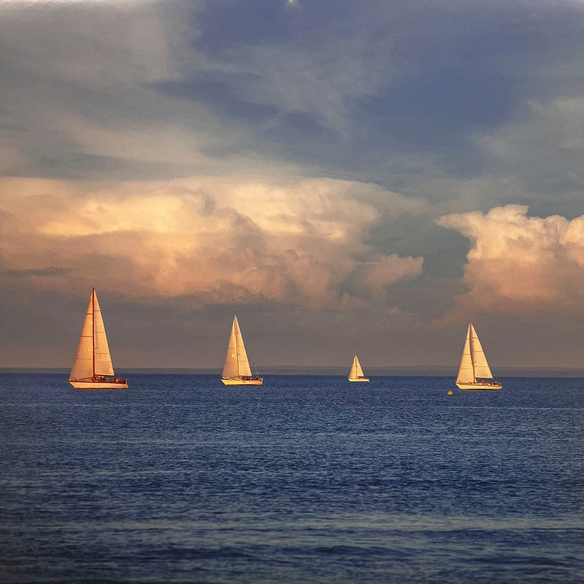 Four elegant sailboats gliding across calm waters under a dramatic, cloudy sky painted with warm sunset hues. Perfect for a nautical calendar, peaceful ocean scenes, sailing photography.
