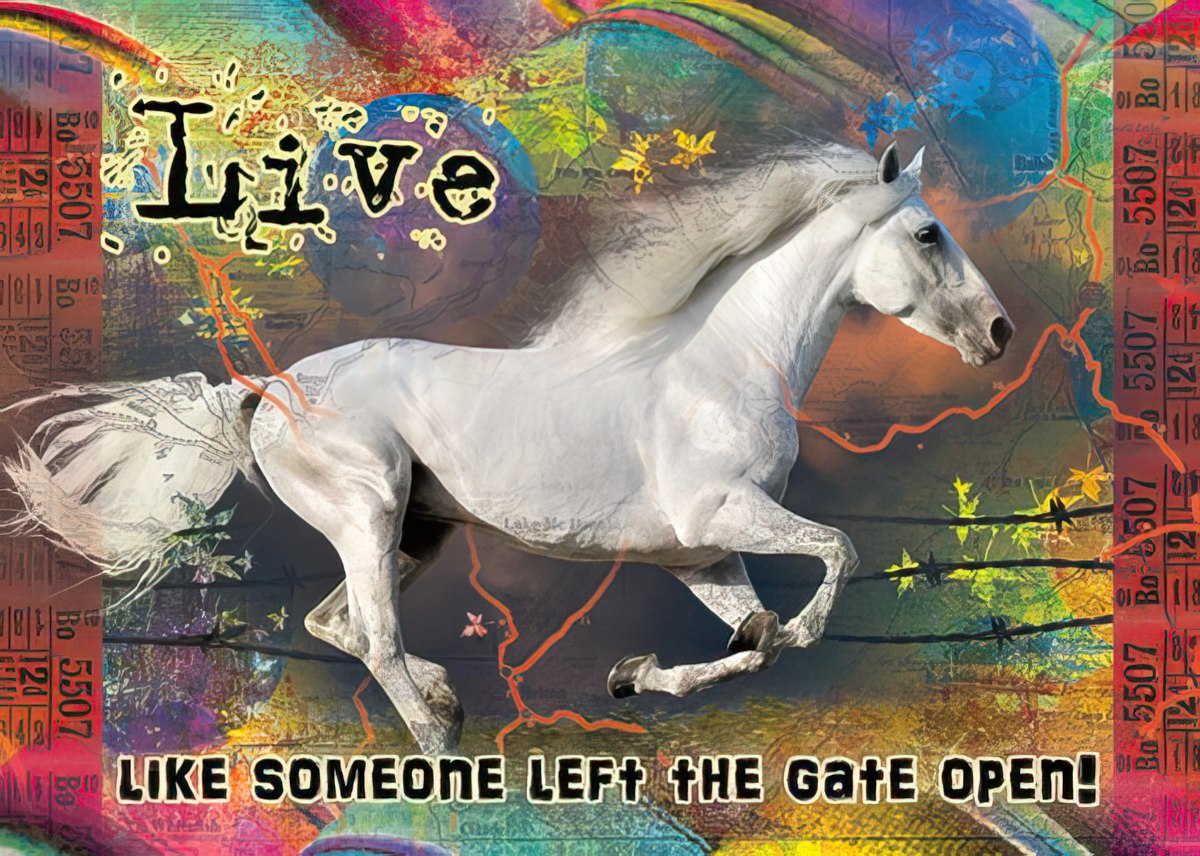 Live like someone left the gate open!