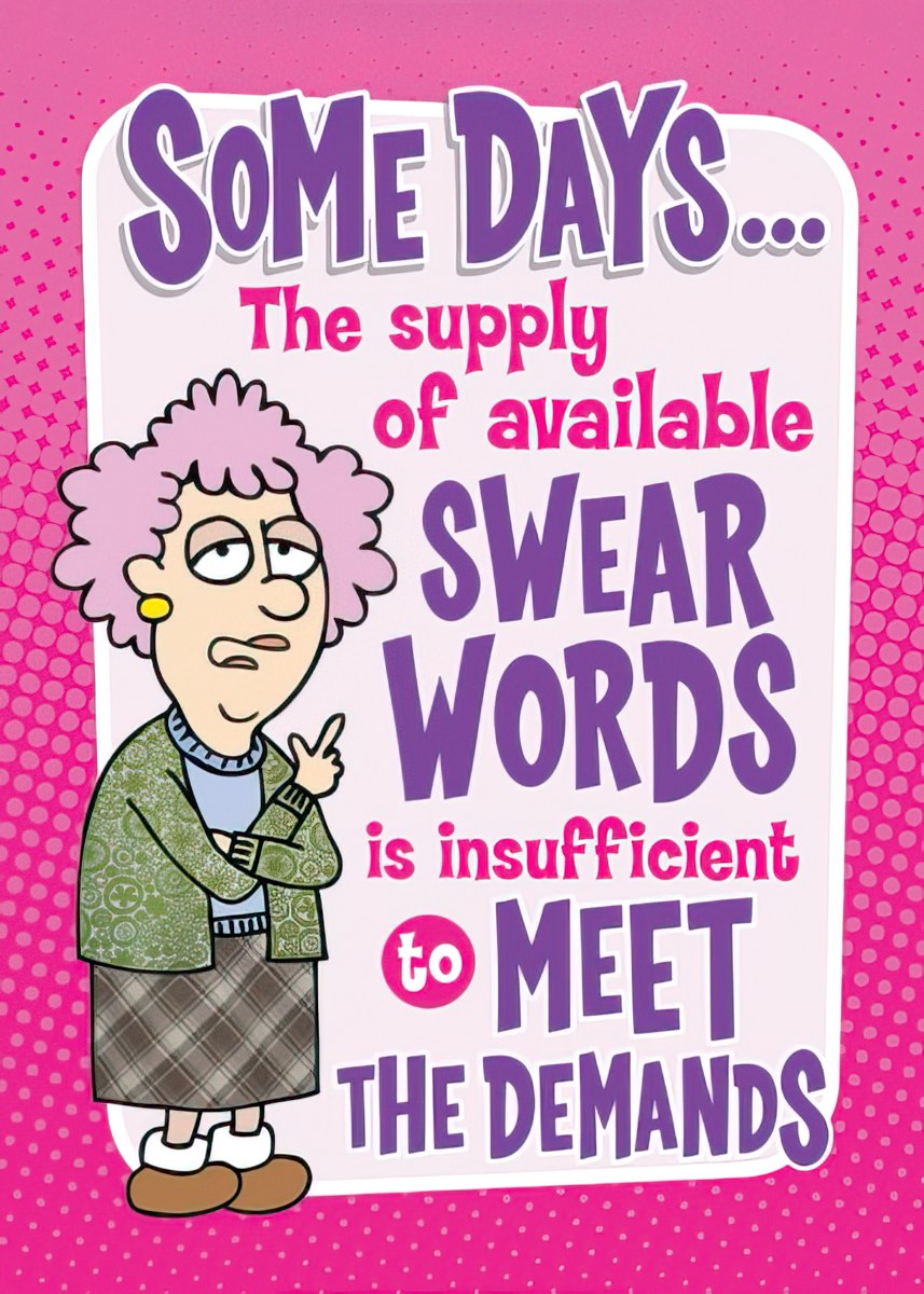 Funny magnet featuring a cartoon woman with pink curly hair, exasperated expression, pointing her finger, alongside the quote: "SOME DAYS... The supply of available SWEAR WORDS is insufficient to MEET THE DEMANDS." The background is pink with a subtle dotted pattern, making it a humorous gift for her, friends, or colleagues.
