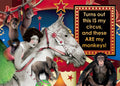 Humorous circus-themed refrigerator magnet featuring a vintage performer, horse, elephant, and various monkeys with the sassy quote 'Turns out this IS my circus, and these ARE my monkeys!' Perfect magnet for office decor or a funny gift for anyone embracing their daily challenges.