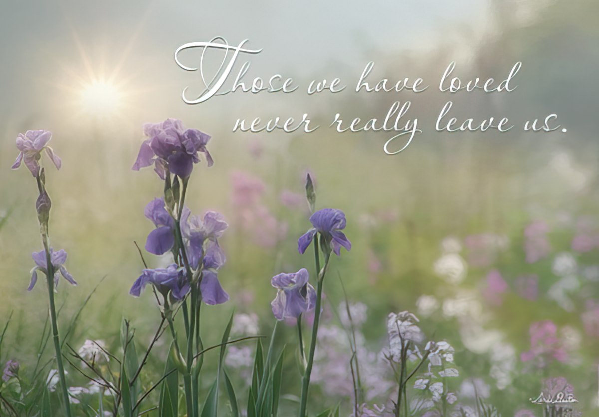 Elegant sympathy greeting card with purple iris flowers in a sunny field, featuring the comforting message 'Those we have loved never really leave us.' Perfect for expressing condolences.