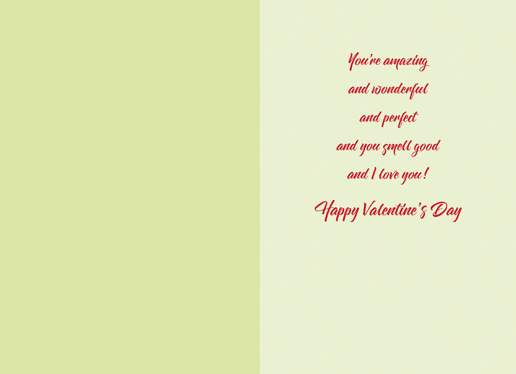 Inside view of an open greeting card with a light green left panel and a cream-colored right panel. The right panel displays a heartfelt romantic message in red script: 'You're amazing and wonderful and perfect and you smell good and I love you! Happy Valentine's Day'.