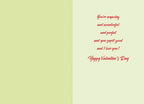 Inside view of an open greeting card with a light green left panel and a cream-colored right panel. The right panel displays a heartfelt romantic message in red script: 'You're amazing and wonderful and perfect and you smell good and I love you! Happy Valentine's Day'.