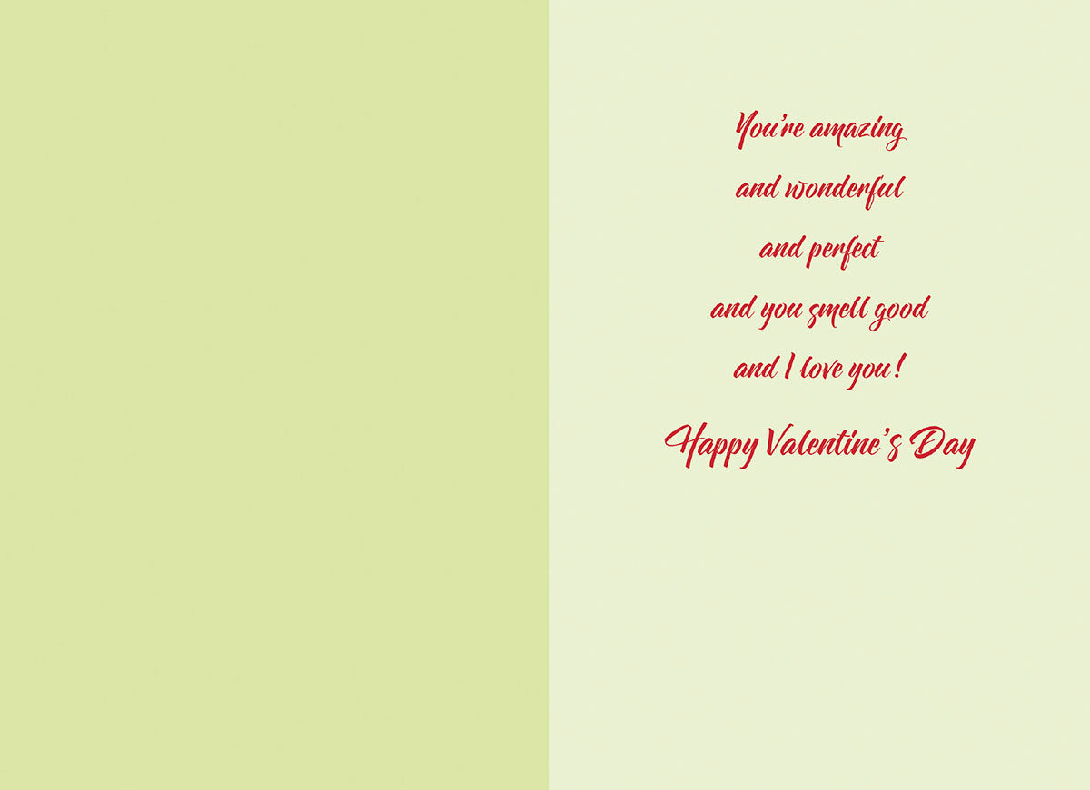Inside view of an open greeting card with a light green left panel and a cream-colored right panel. The right panel displays a heartfelt romantic message in red script: 'You're amazing and wonderful and perfect and you smell good and I love you! Happy Valentine's Day'.
