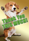 Funny thank you greeting card featuring an adorable beagle dog standing on its hind legs with paws open wide, expressing 'Thank You THIS MUCH!' against a golden background. Perfect for showing immense gratitude.