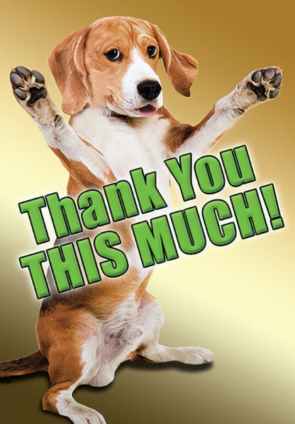 Front of a thank you greeting card with a cute beagle dog standing on hind legs, paws raised, beside text 'Thank You THIS MUCH!'.