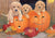 Three puppies on jack-o-lanterns