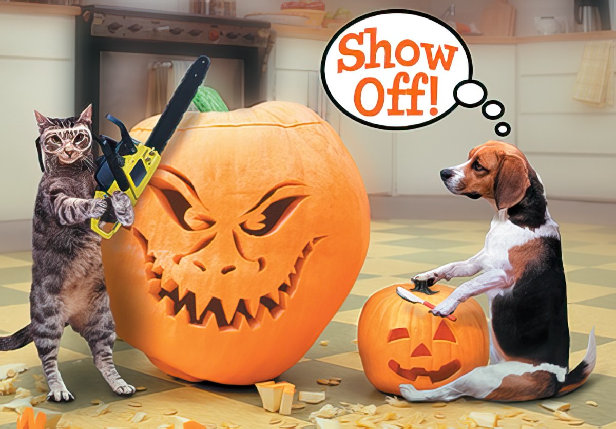 Funny cat with chainsaw carving a giant pumpkin while a beagle dog carefully carves a smaller pumpkin, with 'Show Off!' speech bubble. Humorous greeting card for autumn festivities.