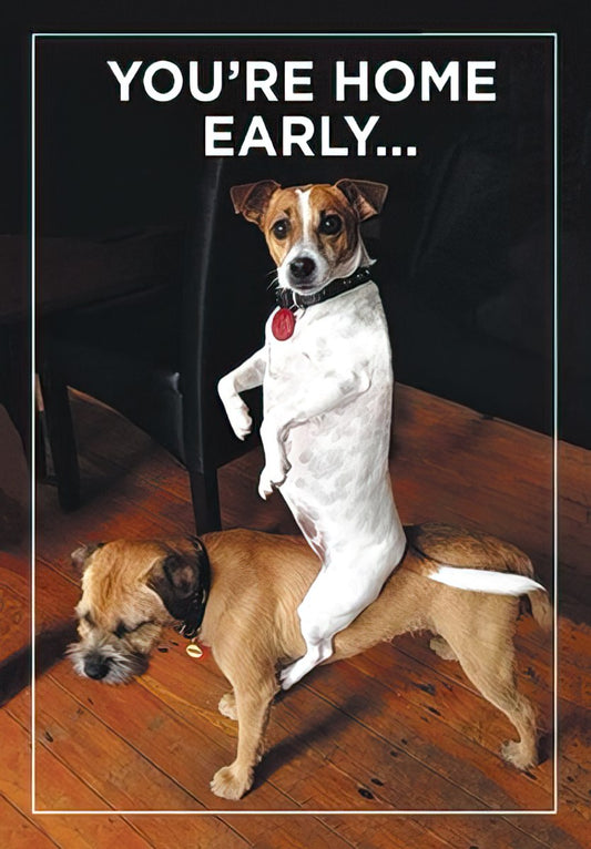 Two dogs in a funny, surprising pose; one dog is standing on another's back in a living room, with the text 'YOU'RE HOME EARLY...'