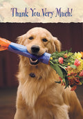 Cute golden retriever dog proudly holding a vibrant bouquet of orange and pink flowers in its mouth, with 'Thank You Very Much!' text above, against a warm background.