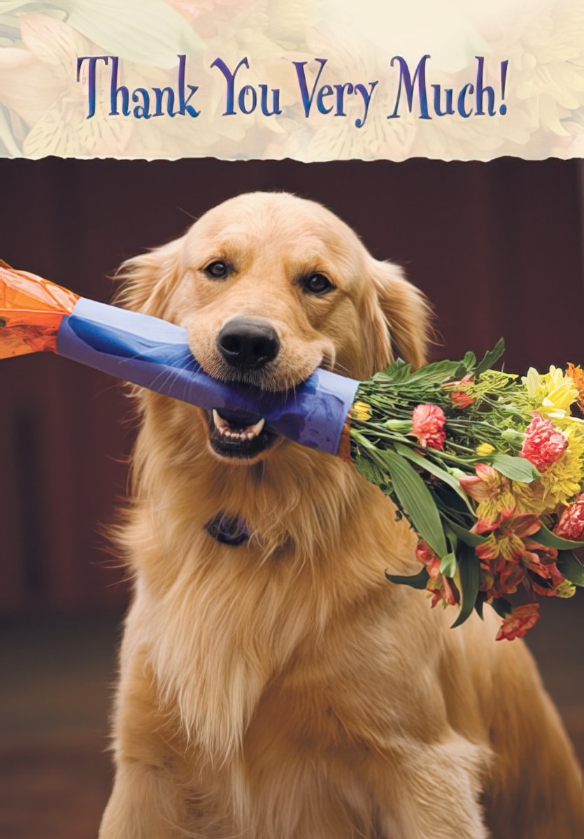 Cute golden retriever dog proudly holding a vibrant bouquet of orange and pink flowers in its mouth, with 'Thank You Very Much!' text above, against a warm background.