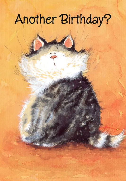 Front of a funny birthday card featuring a fluffy, striped gray and white cat on an orange background, with the text 'Another Birthday?' above it.