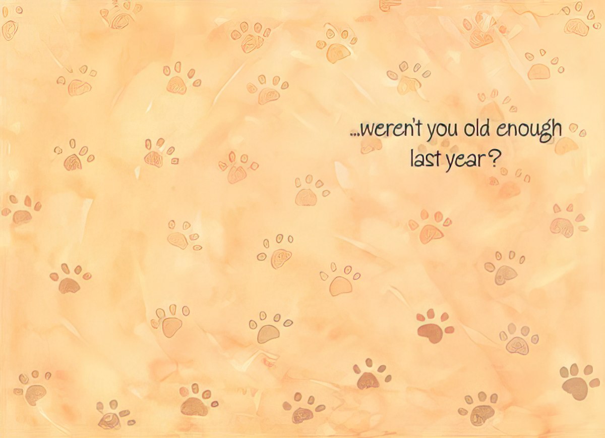 Inside of a humorous greeting card, light orange background with subtle paw print patterns, featuring the witty message '...weren't you old enough last year?' in brown script font.