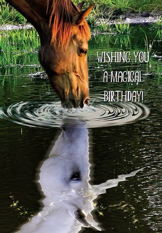 Front of a magical birthday card showing a horse drinking from water, its reflection transforming into a unicorn, with text 'WISHING YOU A MAGICAL BIRTHDAY!'