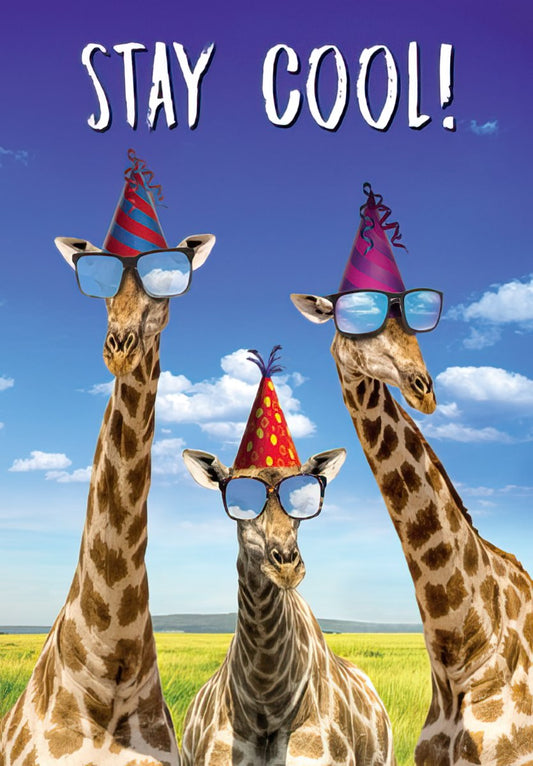 Front of a 'Stay Cool!' birthday card with three giraffes wearing party hats and sunglasses against a blue sky and grassy savanna.