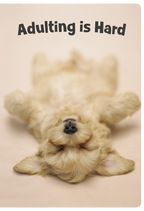 Cute golden puppy lying on its back with 'Adulting is Hard' text, an adorable funny encouragement greeting card.
