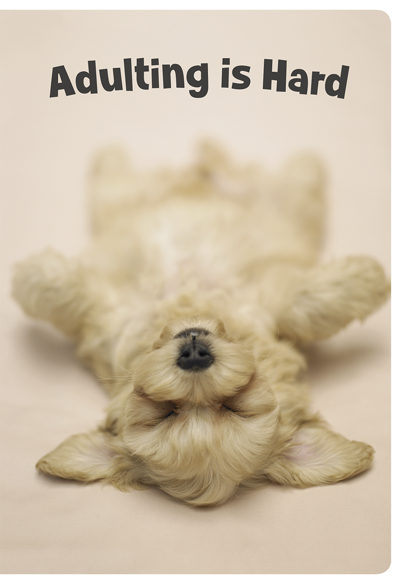 Cute golden puppy lying on its back with 'Adulting is Hard' text, an adorable funny encouragement greeting card.