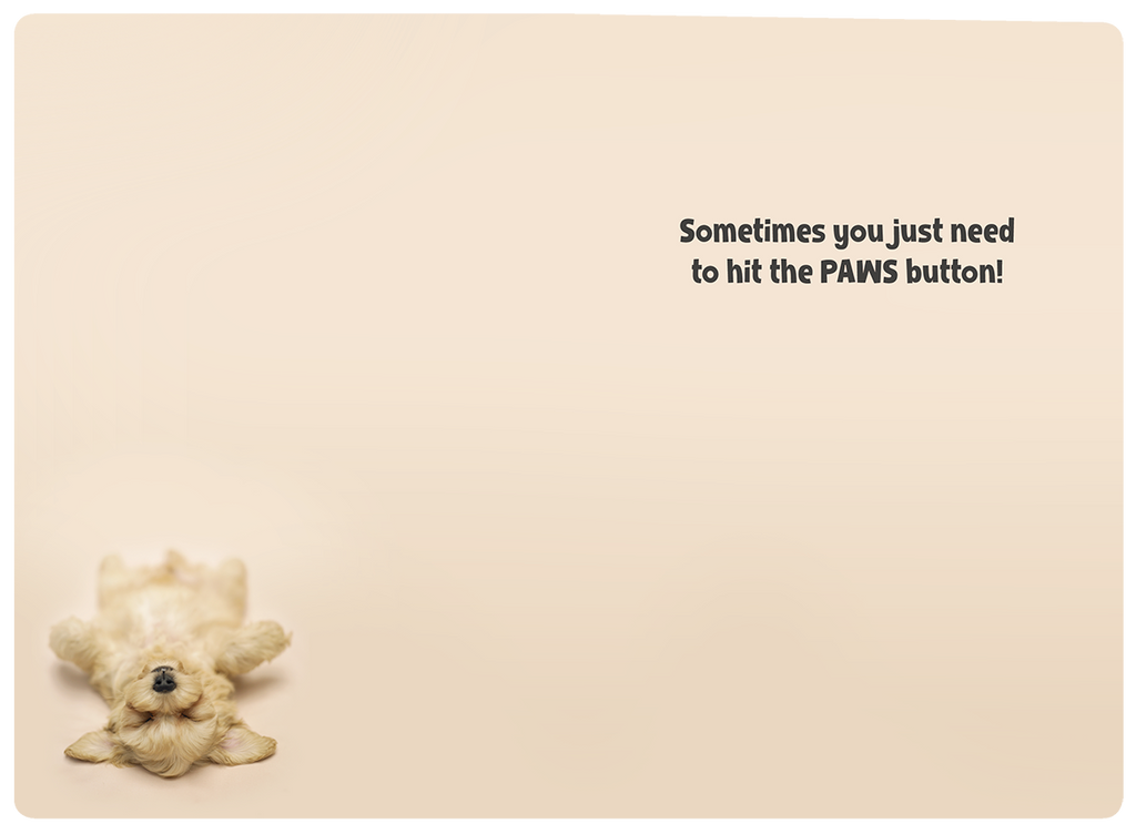 Inside of a funny encouragement card featuring a cute puppy illustration and the text 'Sometimes you just need to hit the PAWS button!', perfect for a friend.