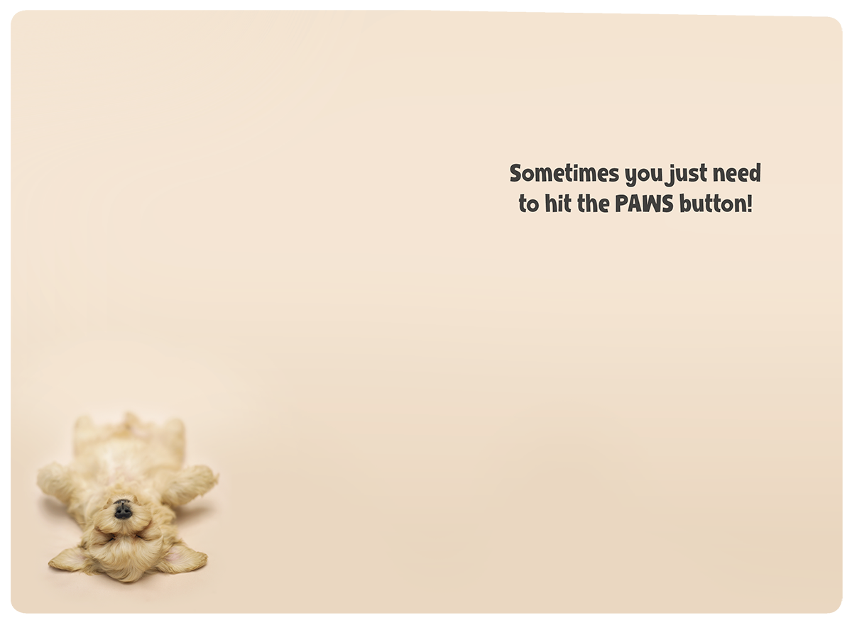 Inside of a funny encouragement card featuring a cute puppy illustration and the text 'Sometimes you just need to hit the PAWS button!', perfect for a friend.