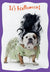 Bulldog dressed as the Bride of Frankenstein