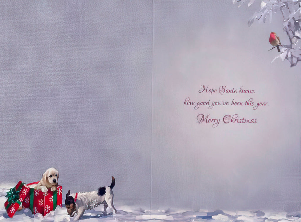 Interior of a charming holiday greeting card displaying a golden retriever puppy in a red gift box and a terrier mix dog in a snow scene, with the heartwarming printed message: 'Hope Santa knows how good you've been this year Merry Christmas'.