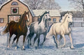 Winter horse greeting card set featuring three majestic horses (bay, dappled grey, and white) galloping through fresh snow past a festive barn with a wreath. Perfect for sending warm season's greetings.