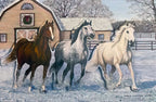 Winter horse greeting card set featuring three majestic horses (bay, dappled grey, and white) galloping through fresh snow past a festive barn with a wreath. Perfect for sending warm season's greetings.