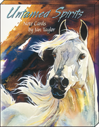 Front of 'Untamed Spirits Note Cards by Jan Taylor' box featuring a stunning watercolor illustration of a white horse with flowing mane against an abstract brown and blue background.