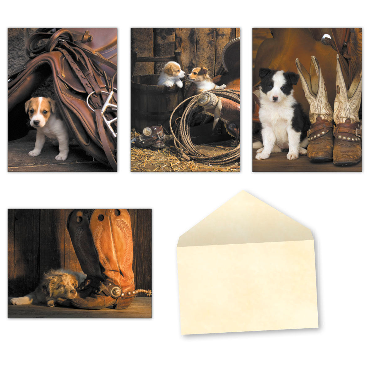 Assortment of four different greeting cards featuring cute puppies in Western-themed settings with a blank cream envelope, showcasing unique designs.