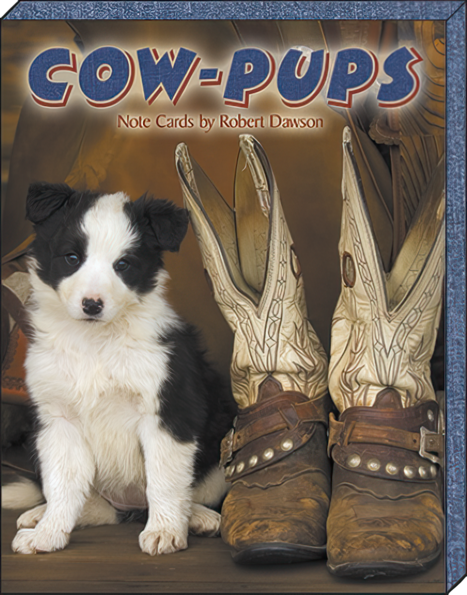 Front cover of 'COW-PUPS' note cards by Robert Dawson, featuring an adorable black and white Border Collie puppy sitting next to a pair of rustic cowboy boots, highlighting the Western puppy theme.