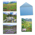 Assortment of four nature-themed greeting cards featuring mountain wildflowers and a light blue envelope, perfect for sending thoughtful messages.