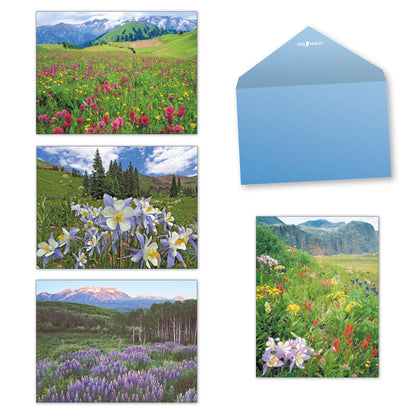 A vibrant meadow of pink, yellow, and red wildflowers with green rolling hills and snow-capped mountains under a bright sky.