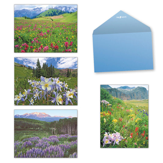 A vibrant meadow of pink, yellow, and red wildflowers with green rolling hills and snow-capped mountains under a bright sky.