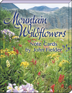Box cover for 'Mountain Wildflowers Note Cards by John Fielder' showcasing a rich landscape of various colorful blooms.
