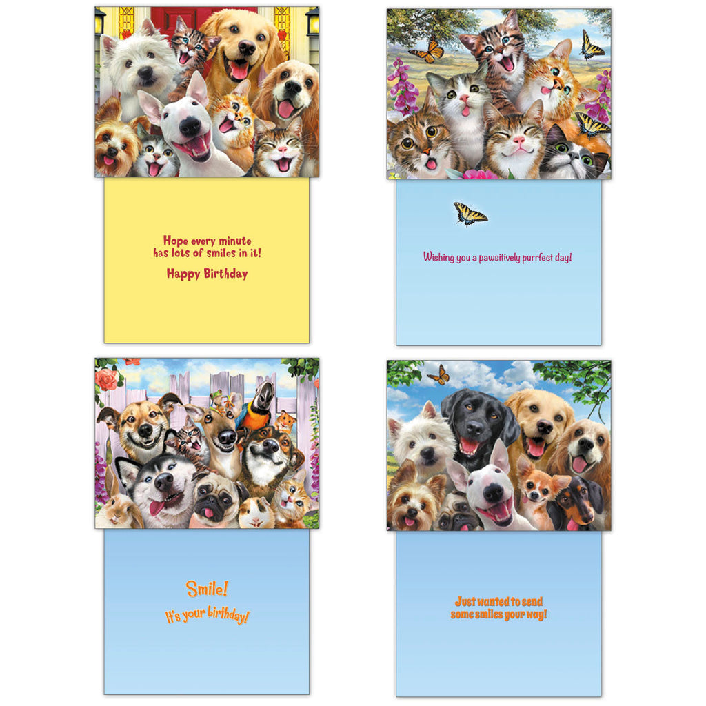 A display of four different 'Selfies' animal greeting cards. Each card shows its unique front design of smiling pets and its inside message: 'Happy Birthday', 'Wishing you a pawsitively purrfect day!', 'Smile! It's your Birthday!', and 'Just wanted to send some smiles your way!'.