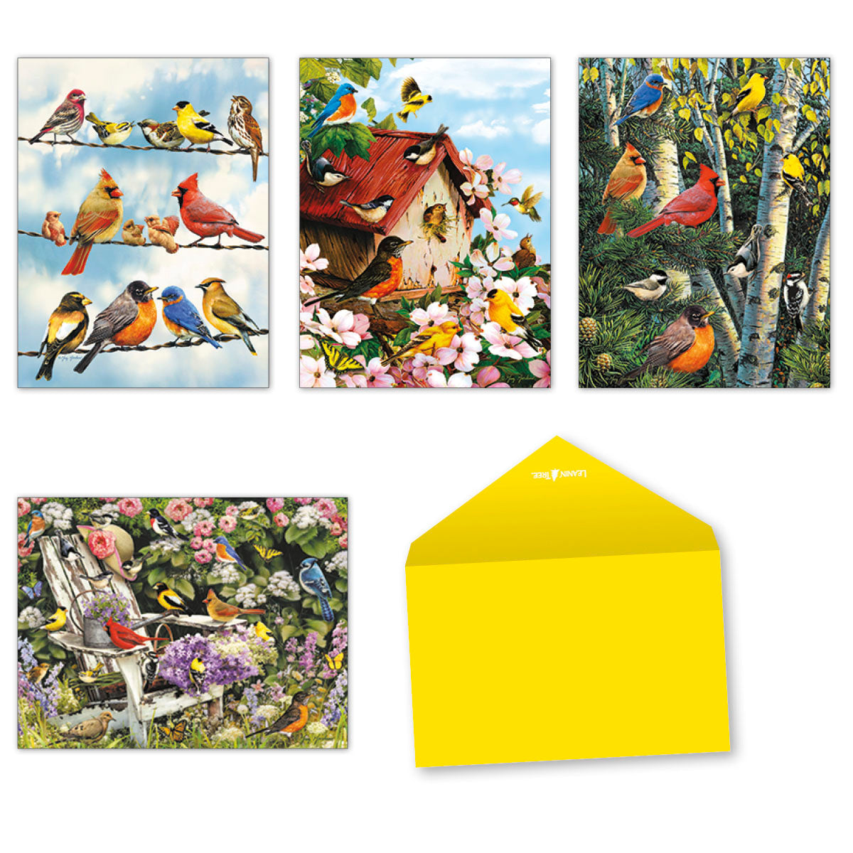 Assortment of four vibrant songbird greeting cards with a yellow envelope, featuring diverse bird species in natural settings.