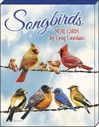 Box set of Songbirds Note Cards by Greg Giordano, showcasing a detailed illustration of colorful cardinals, robins, and other birds perched on a wire against a blue sky.