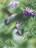 Two vibrant hummingbirds with purple fuchsia flowers on a greeting card, perfect for any occasion.