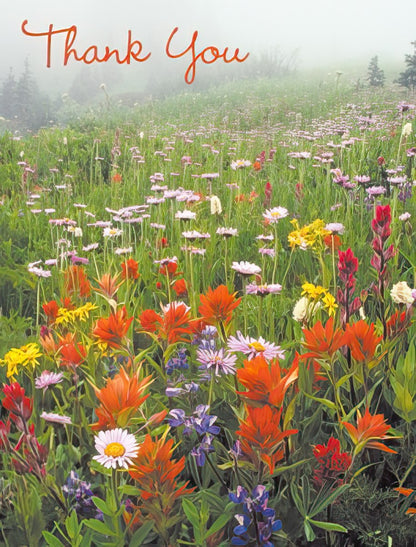 Vibrant thank you card featuring a colorful wildflower meadow in a misty mountain landscape. Heartfelt gratitude expressed beautifully.